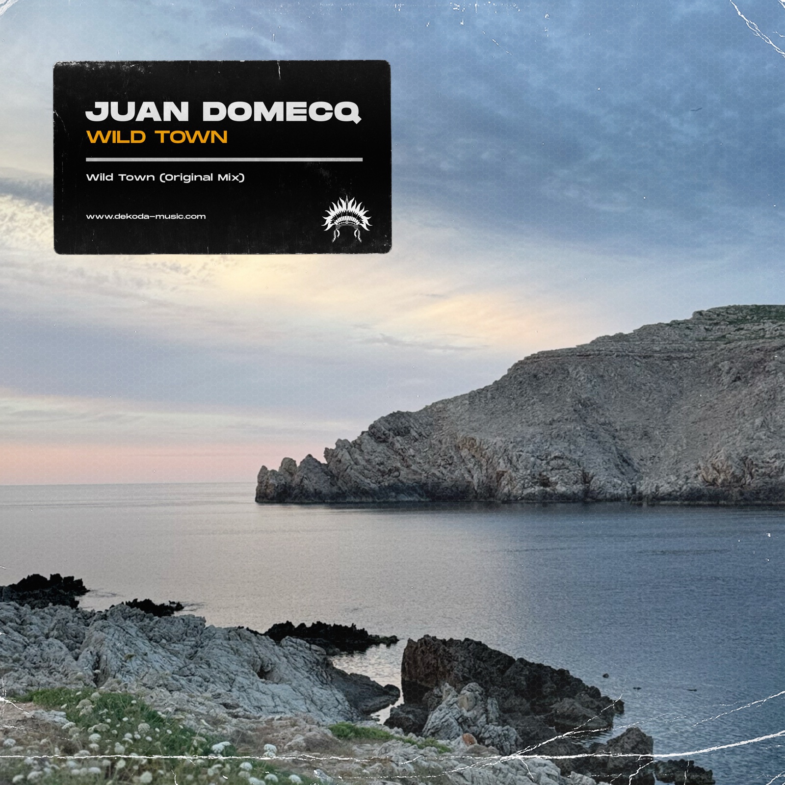 Wild Town by Juan Domecq, cover art