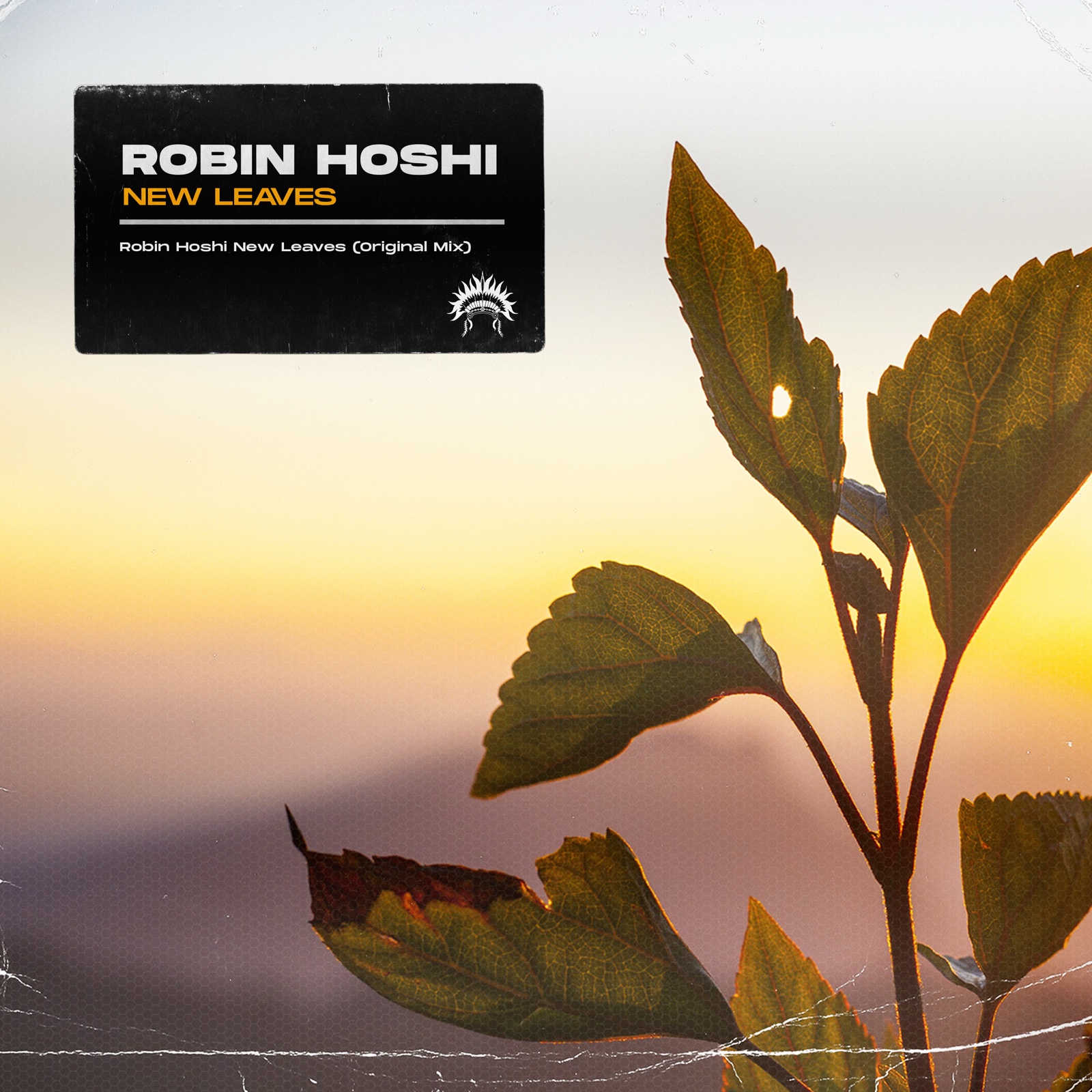 New Leaves by Robin Hoshi, cover art